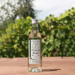 Träsch